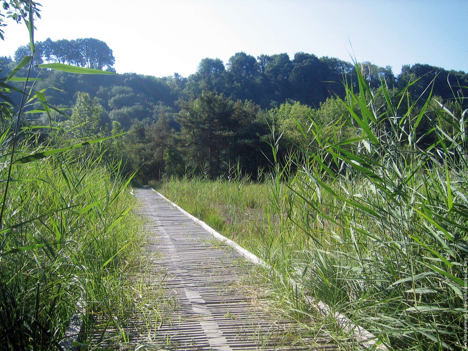 ecotrail: dauerhafte Fuss- und Velowege, Bild 4 von 4