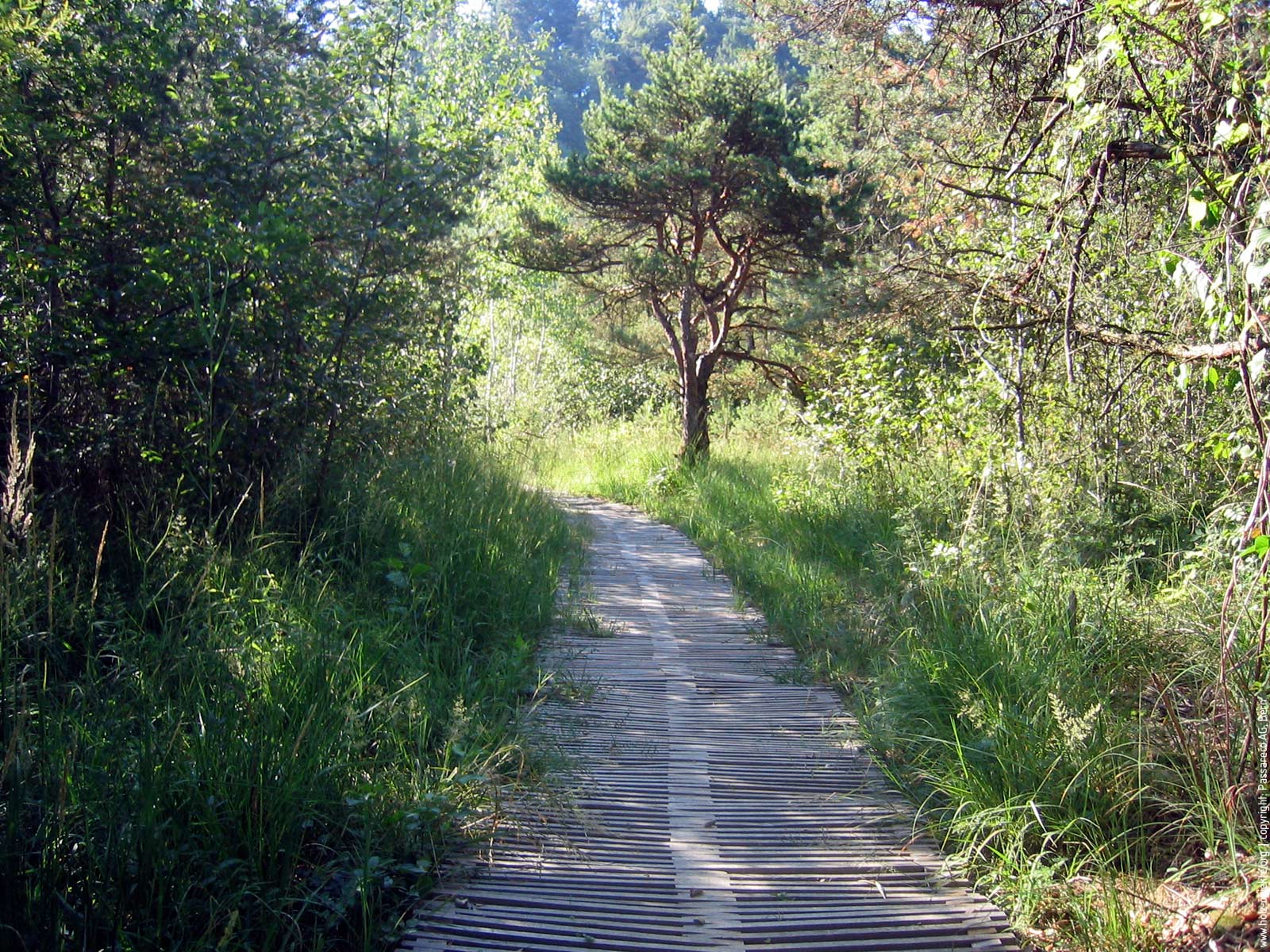 ecotrail: dauerhafte Fuss- und Velowege, Bild 3 von 4