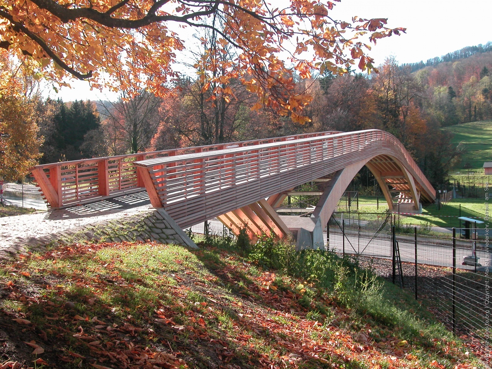 Fussgängerbrücke Wildpark Langenberg, Bild 2 von 4